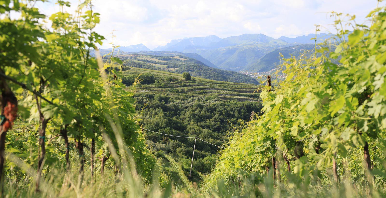 Your time at Magari Estates is about getting away from it all 8 Your time at Magari Estates is about getting away from it all 8